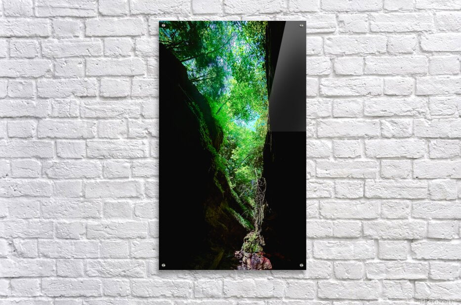 Acrylic Print