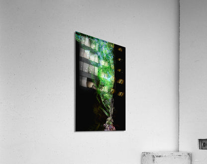 Acrylic Print